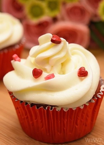 Red Velvet Chocolate Chip Cupcake