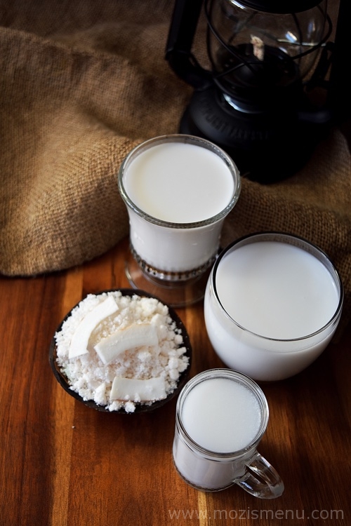 Homemade Coconut Milk / Thengai Paal / Thenga Paalu Homemade Coconut Milk / Thengai Paal / Thenga Paalu